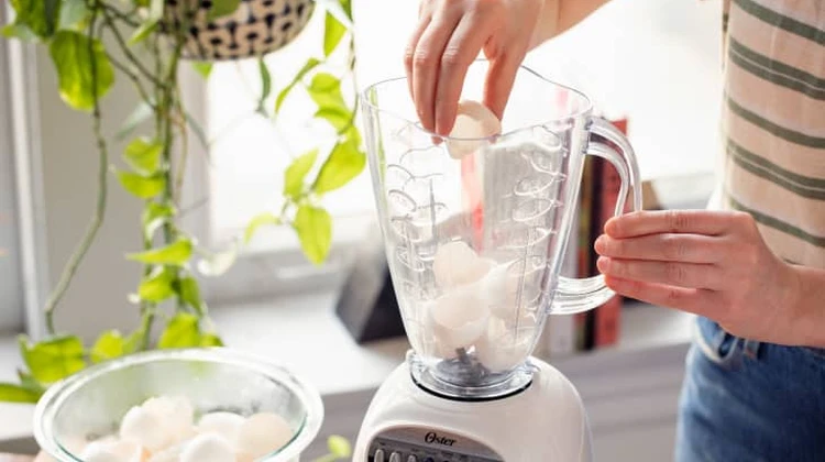 Will Eggshells Sharpen Blender Blades?